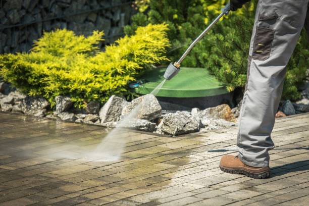 Best Roof Washing  in Newark, IL