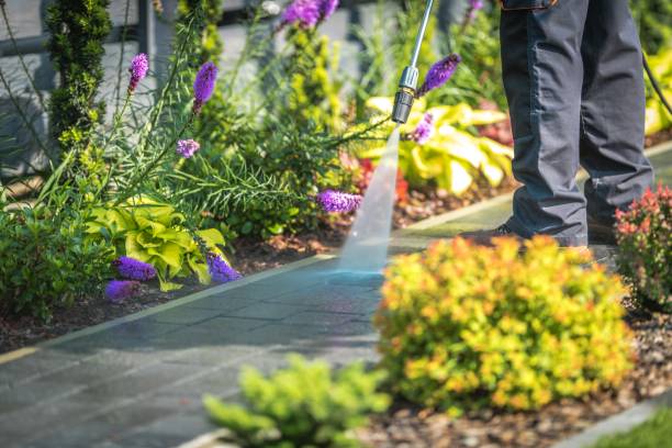 Best Restaurant Pressure Washing  in Newark, IL