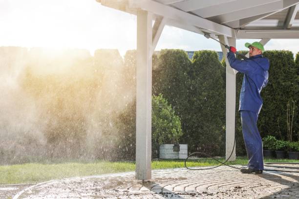Best Rust Removal  in Newark, IL